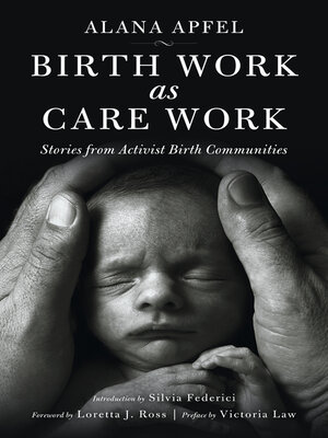 cover image of Birth Work as Care Work